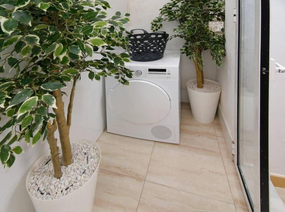 Apartamentos Puerto Nova Cartagena Dış mekan fotoğraf